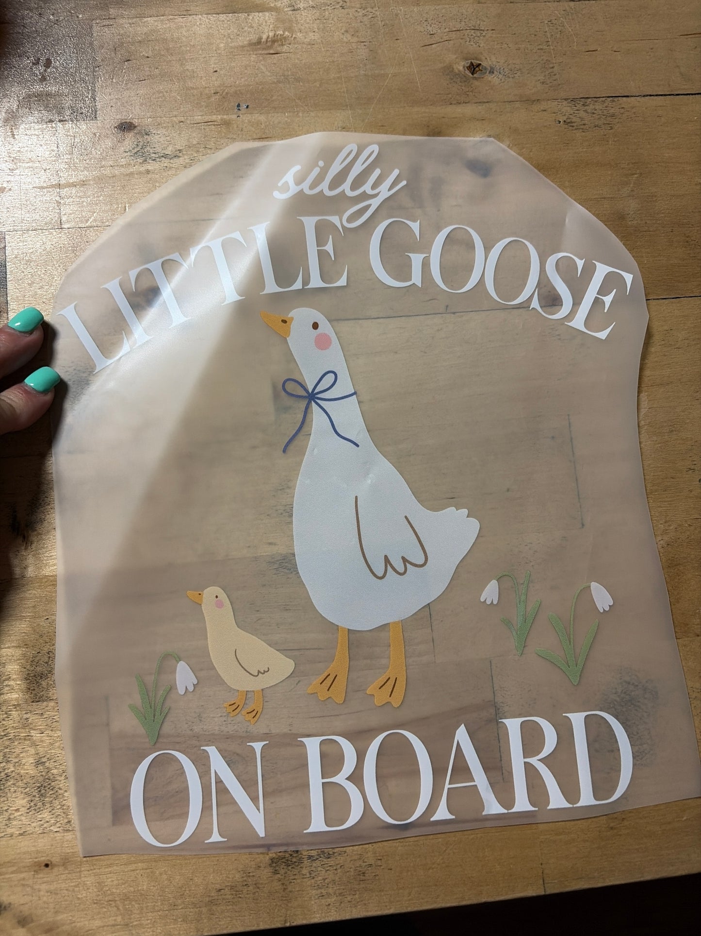 Silly Goose on Board