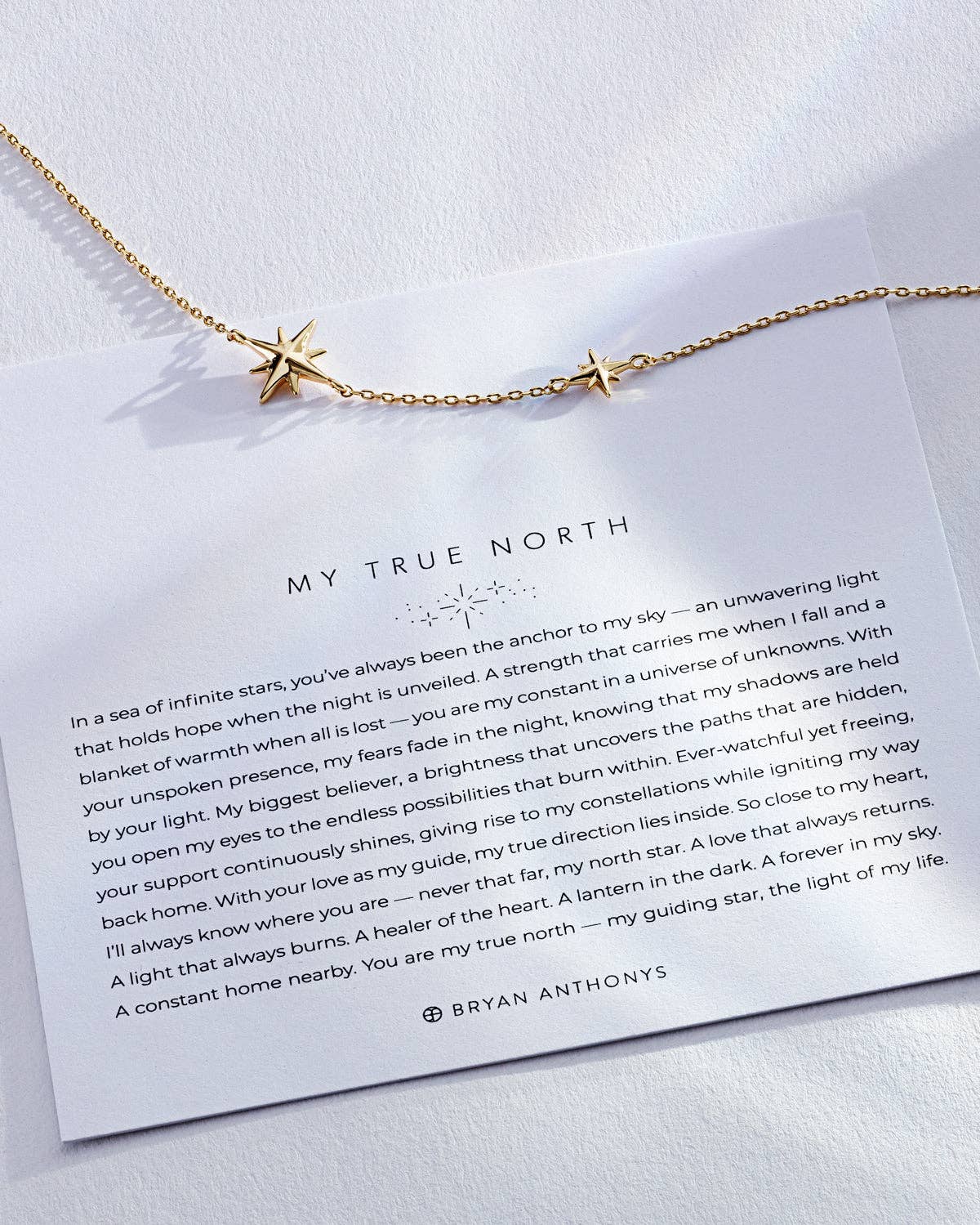 My True North Dainty Necklace: 14k Gold