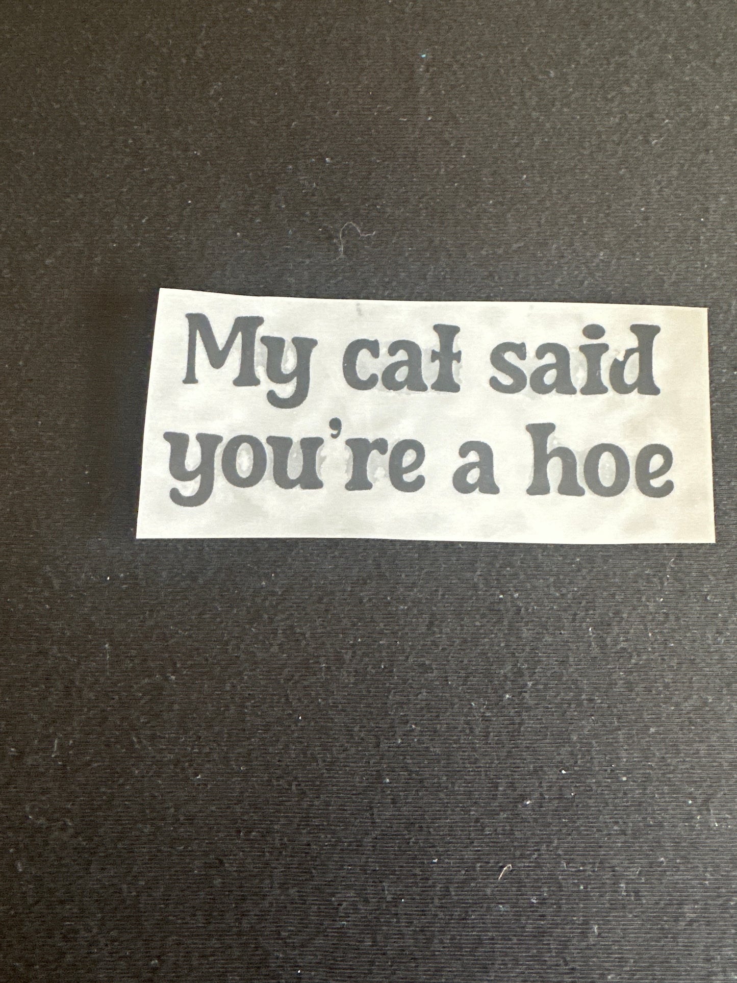 My cat said you’re a hoe Hat