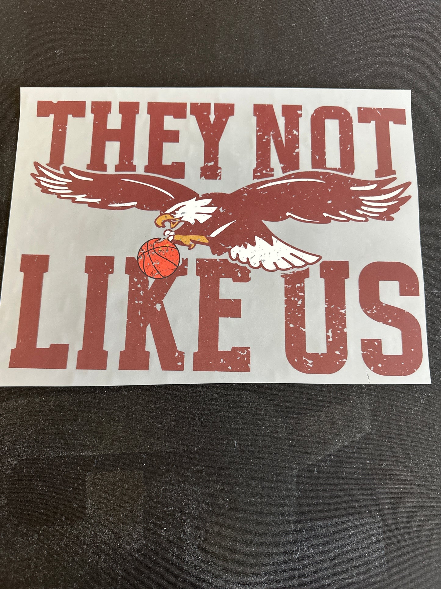 They Not Like Us - Basketball