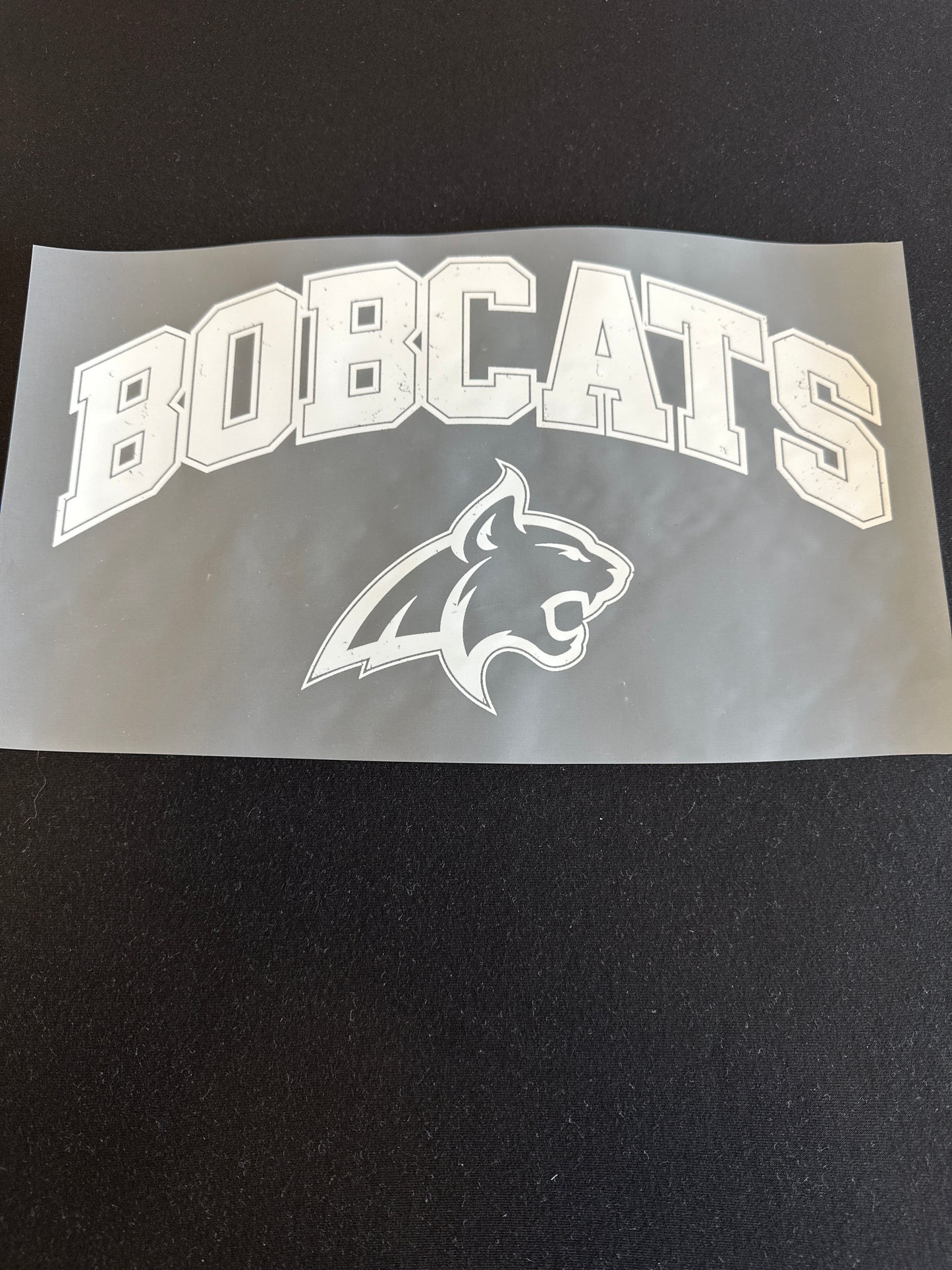 White Bobcats