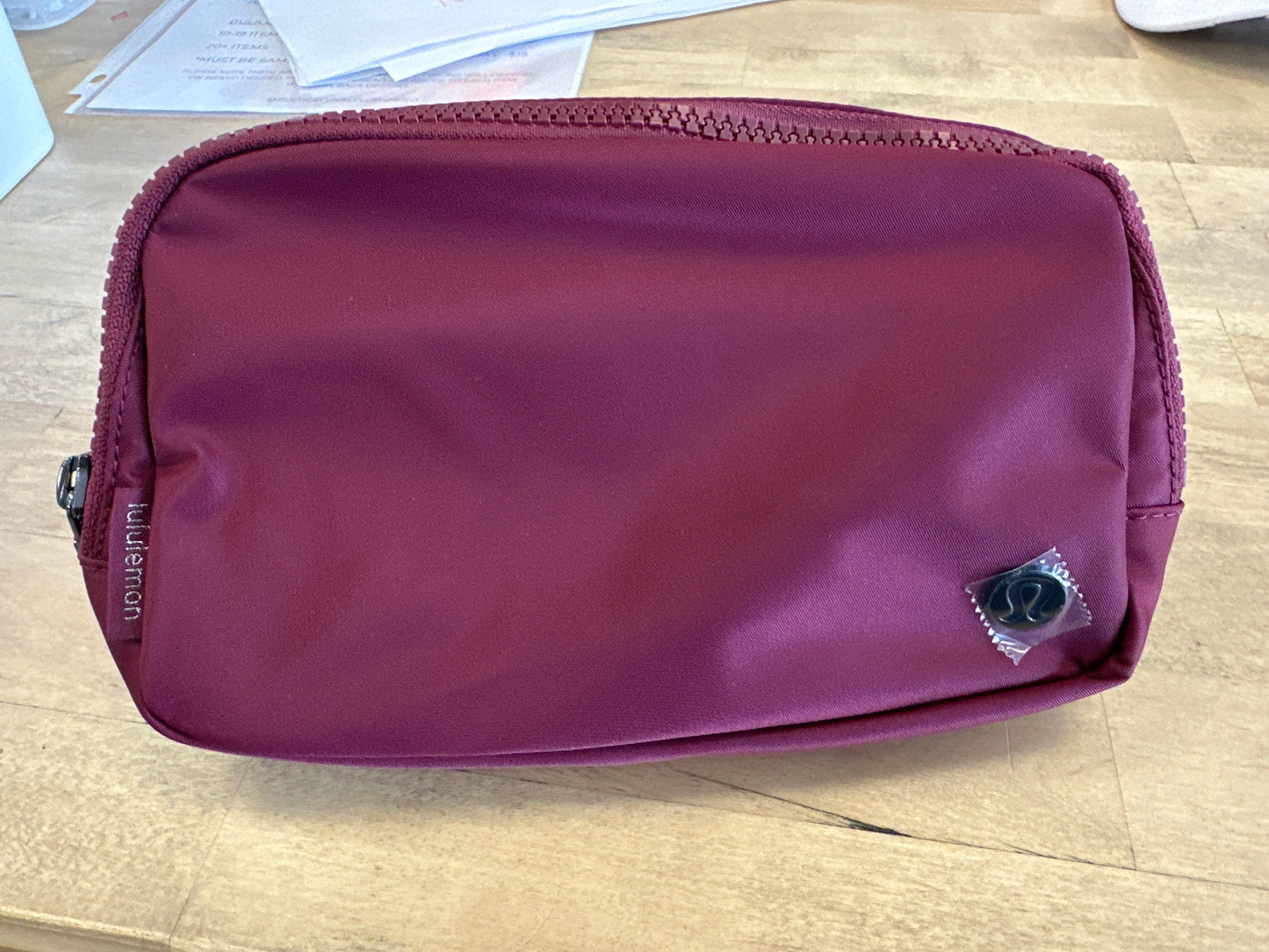 Everywhere Belt Bag