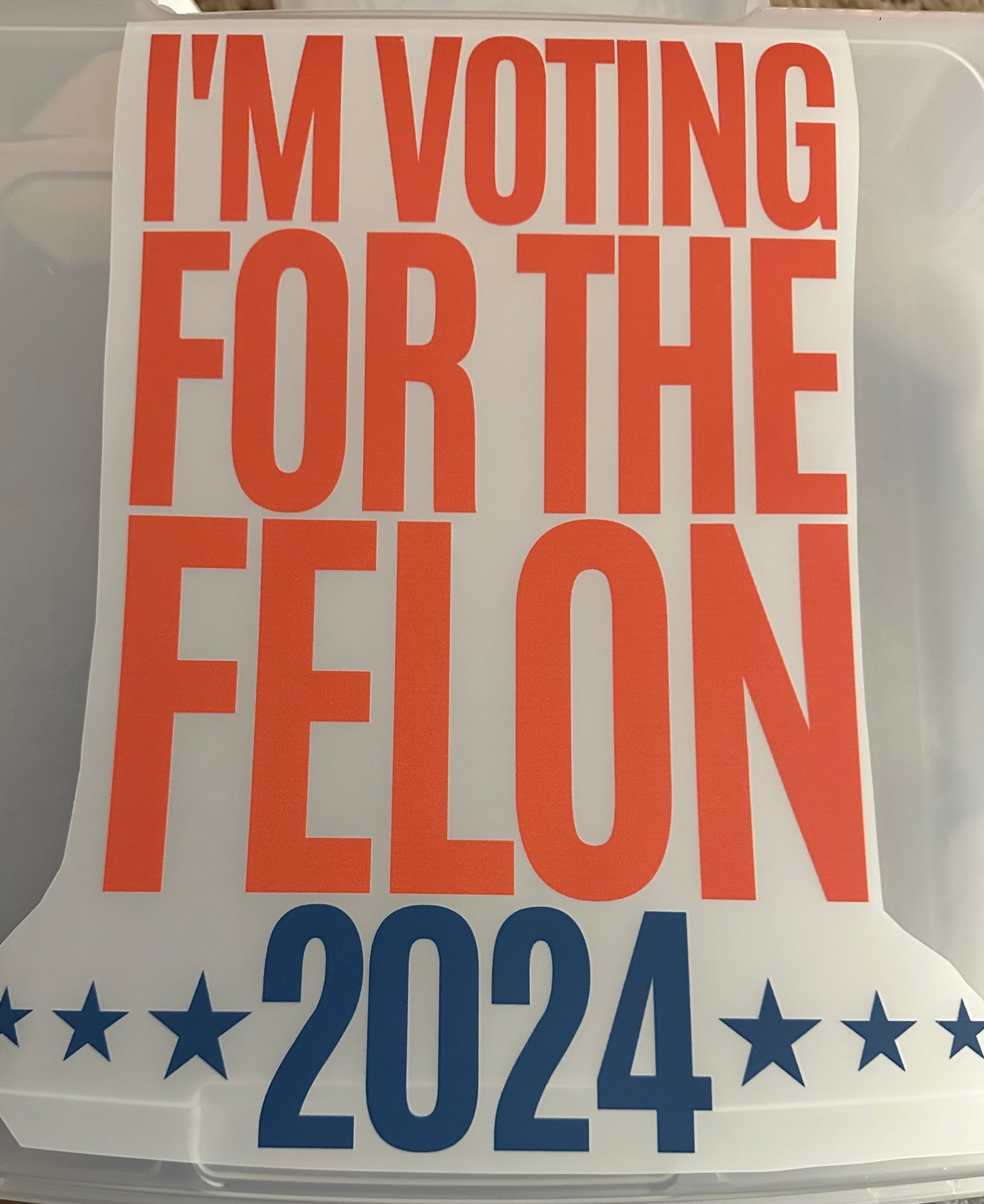 I’m Voting Felon 2024