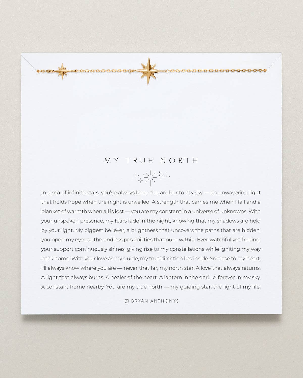 My True North Dainty Necklace: 14k Gold