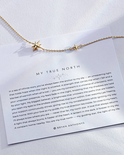 My True North Dainty Necklace: 14k Gold