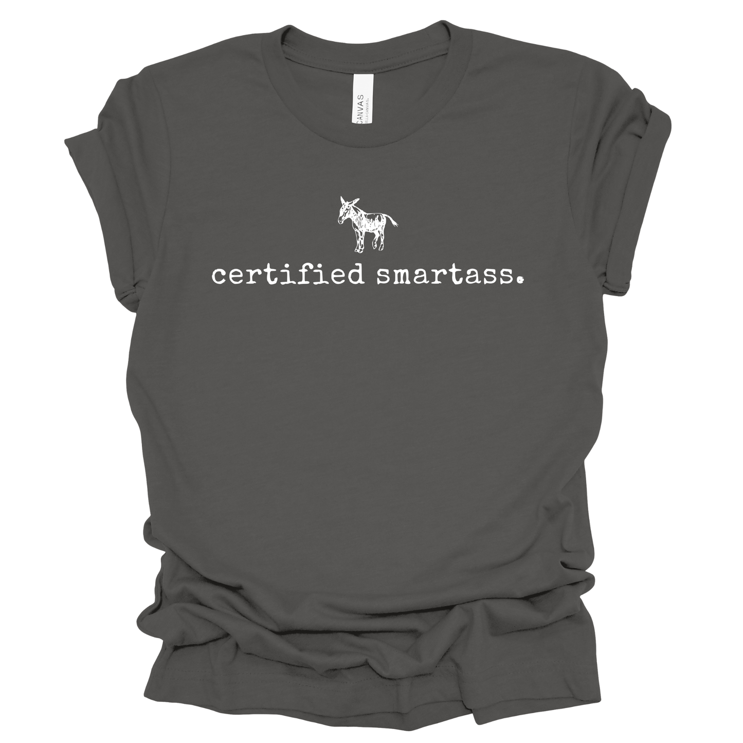 CERTIFIED SMARTASS Graphic Apparel | Adult Tee