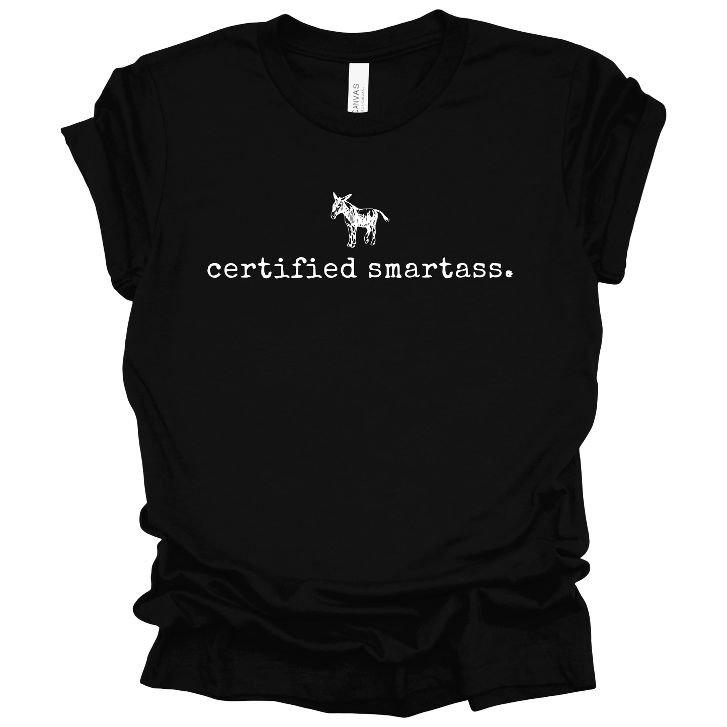 CERTIFIED SMARTASS Graphic Apparel | Adult Tee
