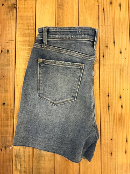 HW Shorts w/stitch over destroy detail