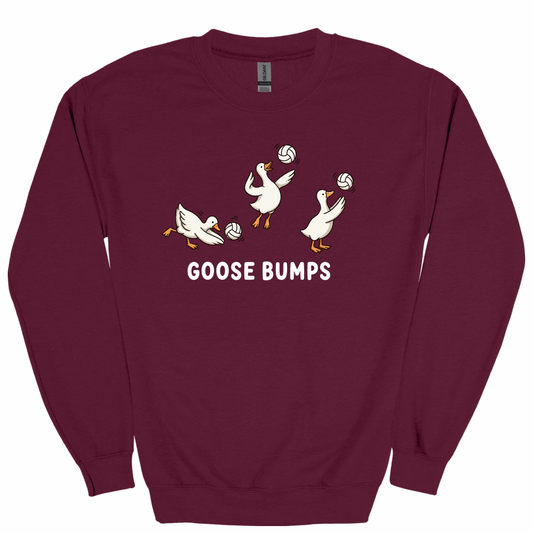 Goosebumps Volleyball Graphic Apparel | Adult Spirit Wear