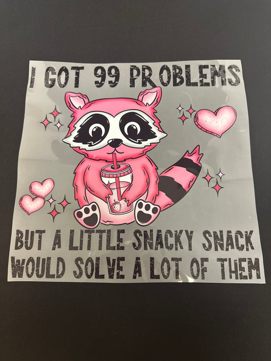 I Got 99 Problems Raccoon