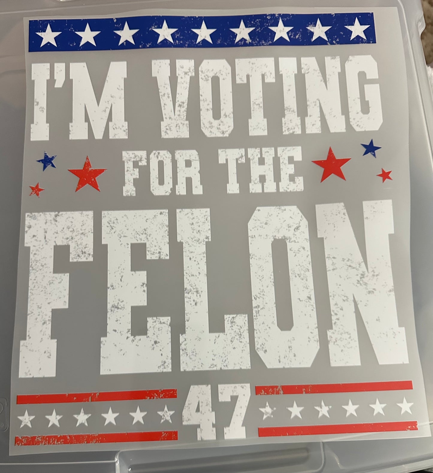 I’m Voting Felon 47