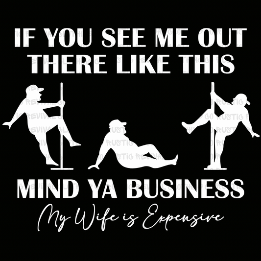 My Wife is Expensive