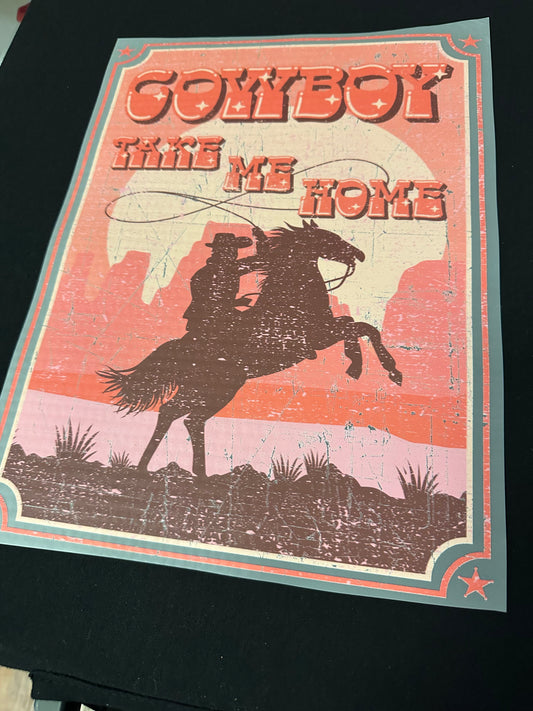 Cowboy Take Me Home