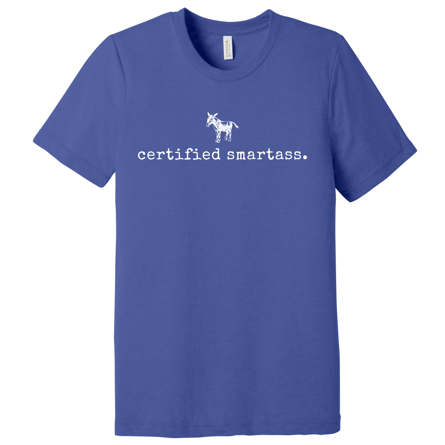 CERTIFIED SMARTASS Graphic Apparel | Adult Tee