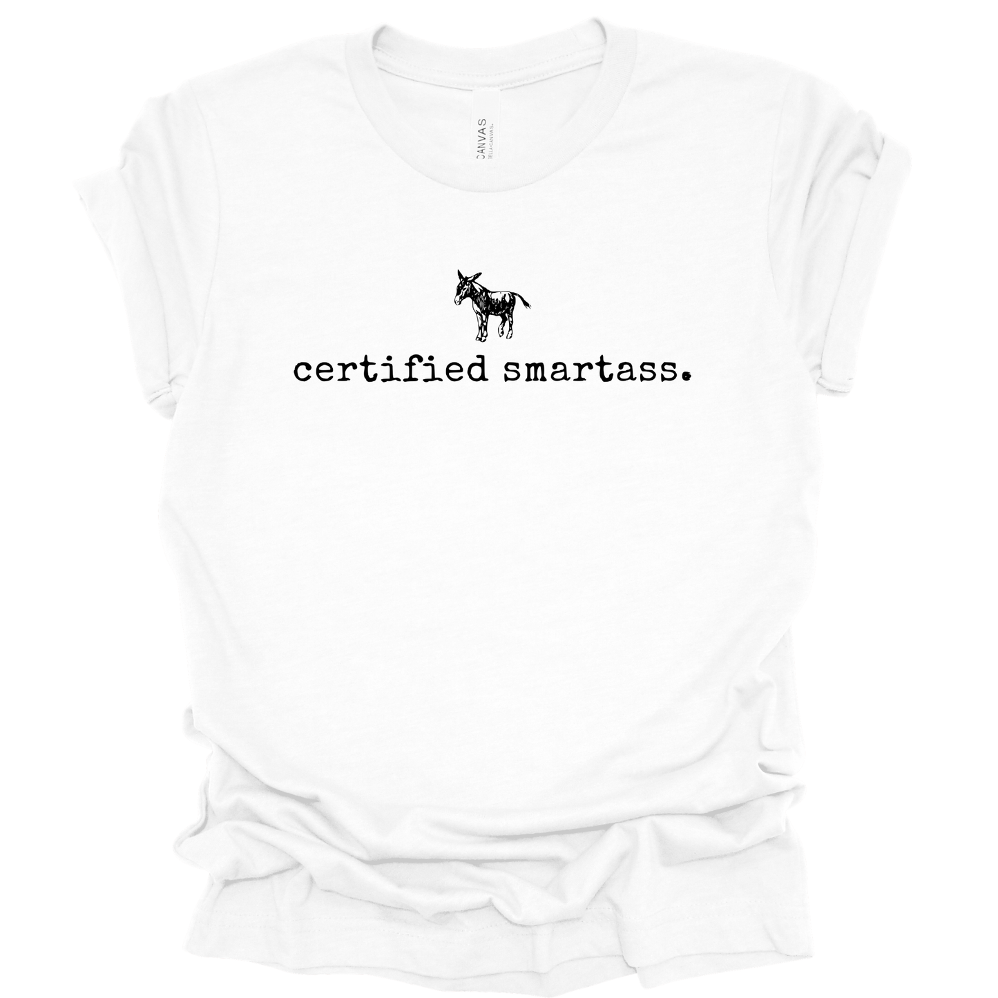 CERTIFIED SMARTASS Graphic Apparel | Adult Tee