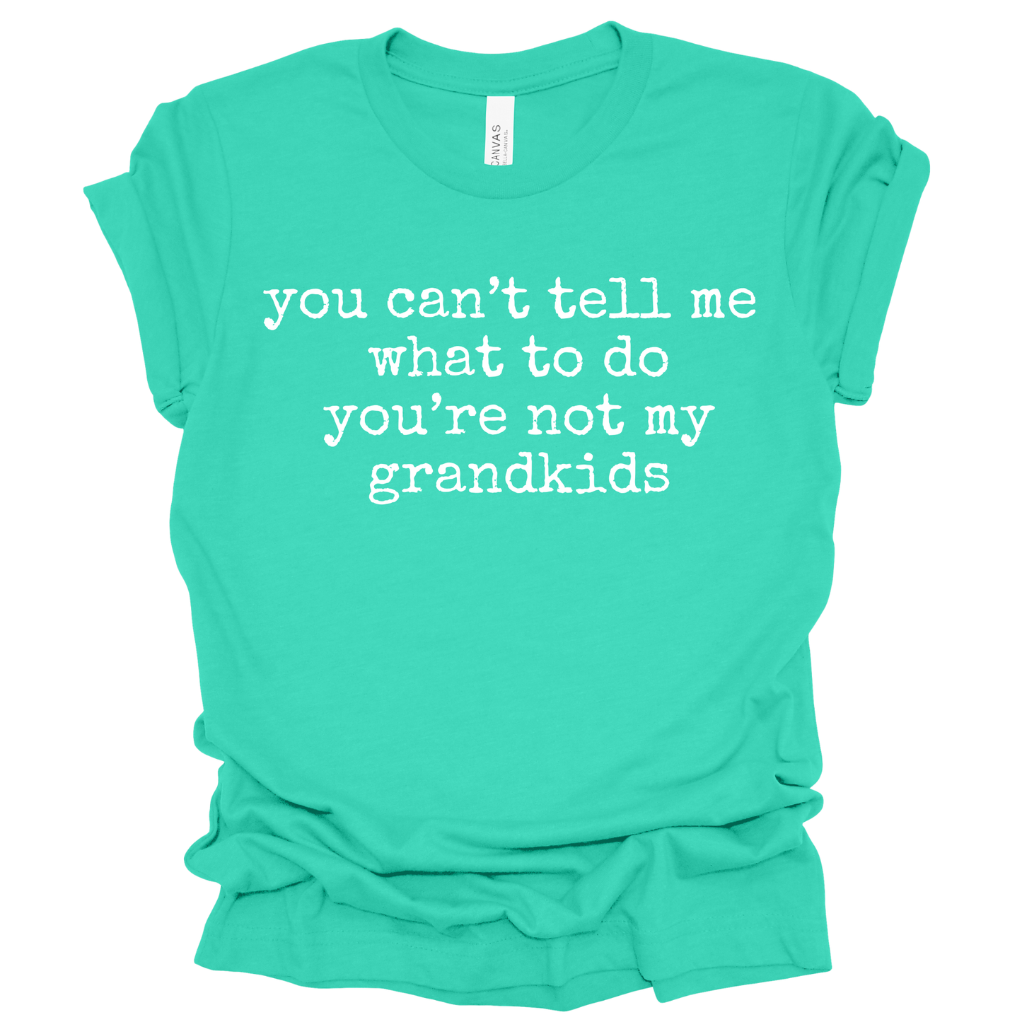 CAN'T TELL ME Graphic Apparel | Adult Tee