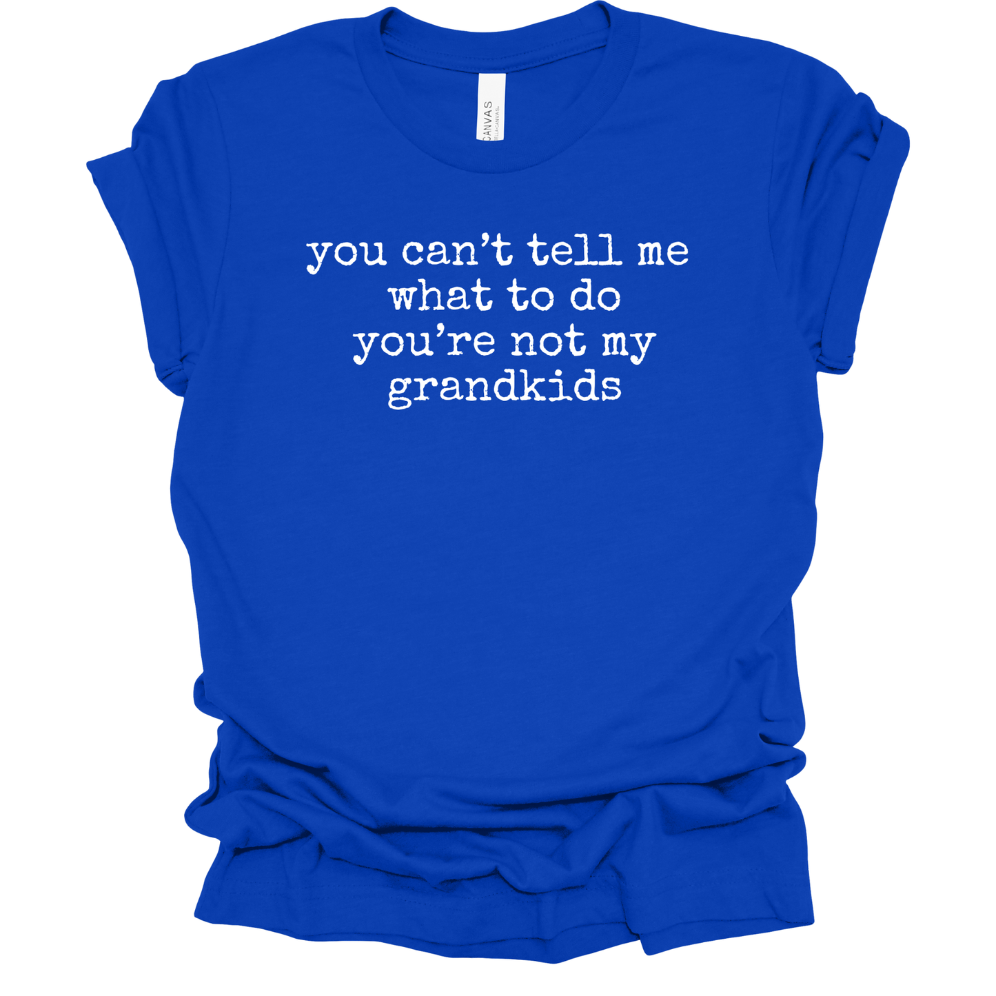CAN'T TELL ME Graphic Apparel | Adult Tee