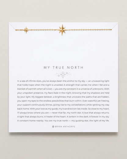 My True North Dainty Necklace: 14k Gold