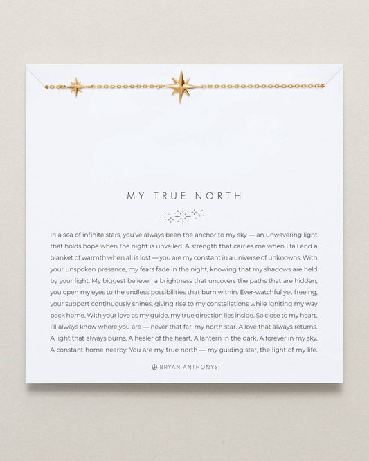 My True North Dainty Necklace: 14k Gold